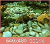         

:  IMG_4606.jpg
:  417
:  111,0 KB