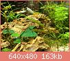         

:  IMG_4607.jpg
:  445
:  162,8 KB