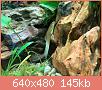         

:  IMG_4610.jpg
:  423
:  145,5 KB