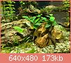         

:  IMG_4612.jpg
:  416
:  173,2 KB