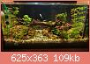         

:  IMG_4615.jpg
:  423
:  109,3 KB