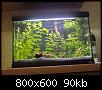         

:  Aquarium 029.jpg
:  298
:  90,1 KB