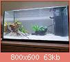         

:  my_aquarium_02.jpg
:  238
:  62,6 KB