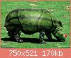        

:  Animals-or-Plants.jpg
:  469
:  170,1 KB