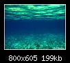         

:  under water.jpg
:  391
:  199,4 KB
