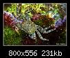         

:  crab.jpg
:  349
:  230,8 KB