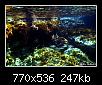         

:  under water2.jpg
:  247
:  246,7 KB
