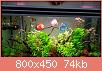         

:  download807c5bba_2fstorage_2femulated_2f0_2fDCIM_2fAquarium_2f20181218_165245_2.jpg
:  309
:  73,8 KB