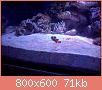         

:  CAM00246.jpg
:  288
:  71,2 KB