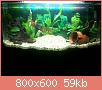         

:  New aquarium.jpg
:  420
:  59,2 KB