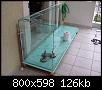         

:  making aquarium 02.JPG
:  479
:  125,6 KB