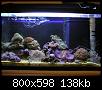         

:  Nano reef 05.jpg
:  1041
:  137,7 KB