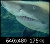         

:  Crete_Aquarium006.jpg
:  326
:  176,2 KB