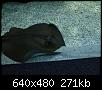         

:  Crete_Aquarium002.jpg
:  287
:  271,0 KB