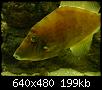         

:  Crete_Aquarium_2_011.jpg
:  259
:  198,6 KB