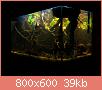         

:  aquarium2.jpg
:  389
:  38,5 KB
