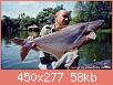         

:  m_2-14-2Pangasius%20pangasius.jpg
:  938
:  57,9 KB