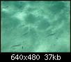         

:  PICT0116.JPG
:  302
:  36,8 KB