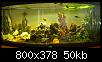         

:  My aquarium2.jpg
:  607
:  50,1 KB