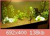         

:  aquarium8.jpg
:  434
:  138,1 KB
