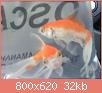         

:  GOLDFISH_1.jpg
:  450
:  31,6 KB