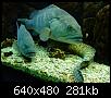         

:  Crete_Aquarium007.jpg
:  336
:  280,9 KB