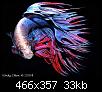         

:  Betta_splendens_14.jpg
:  169
:  33,1 KB