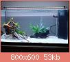         

:  my_aquarium_01.jpg
:  258
:  53,0 KB