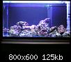         

:  Nano reef 02.jpg
:  761
:  125,4 KB