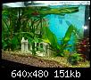         

:  aquarium 003.jpg
:  553
:  151,2 KB