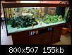         

:  aquarium_job.jpg
:  5208
:  155,3 KB