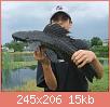         

:  pleco.jpg
:  273
:  15,0 KB