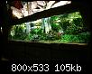         

:  50888329.BigTank161008.jpg
:  256
:  104,9 KB