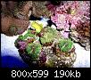         

:  billy reef 444.jpg
:  509
:  189,6 KB