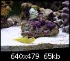         

:  billy reef 259 (Small).jpg
:  255
:  64,8 KB