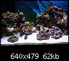         

:  billy reef 253 (Small).jpg
:  245
:  61,9 KB