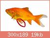         

:  comet_goldfish_2.jpg
:  322
:  19,2 KB