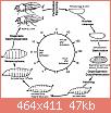         

:  drosophila-melanogaster-life-cycle.jpg
:  404
:  46,6 KB