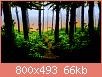         

:  A Path to the Sun.jpg
:  360
:  65,9 KB