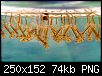         

:  250px-Culex_sp_larvae.png
:  408
:  74,0 KB