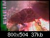         

:  200712010821_079 small.jpg
:  321
:  37,3 KB