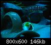        

:  nightvisionJulidochromis.jpg
:  324
:  146,3 KB