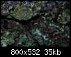         

:  2 302.jpg
:  422
:  35,4 KB