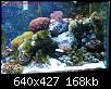         

:  reef_prit_6296.jpg
:  288
:  168,2 KB