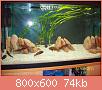         

:  tropheus tank 003.jpg
:  379
:  73,8 KB