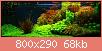         

:  Dutch_Planted_Aquarium_Aquascaping_Style.jpg
:  364
:  68,3 KB