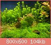         

:  ST830871.jpg
:  250
:  104,1 KB