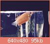         

:  Gourami red honey.jpg
:  414
:  95,4 KB