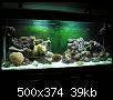         

:  reef500rock5.jpg
:  1402
:  38,9 KB