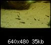         

:  PICT1323.JPG
:  360
:  35,3 KB